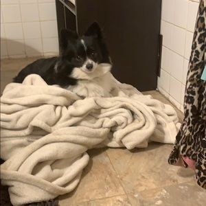 Meet your Posher, Lance